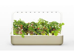 Click and Grow Smart Garden 9 ghiveci inteligent + 9 buc capsule de semințe, bej