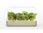 Click and Grow Smart Garden 9 ghiveci inteligent + 9 buc capsule de semințe, bej
