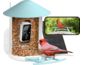 Birdfy feeder Solar (AI gratuit pe viață)