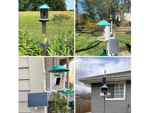 Birdfy feeder Solar (AI gratuit pe viață)