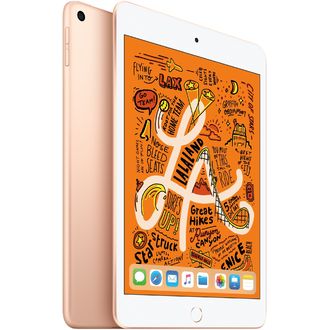 Apple iPad mini 5 256GB Wi-Fi + Cellular gold (2019)