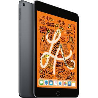 Apple iPad mini 5 256GB Wi-Fi + Cellular Space Grau (2019)
