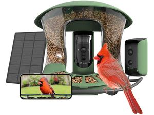 Birdfy Feeder 2 Duo (ingyenes AI egy életre)