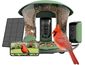 Birdfy Feeder 2 Duo (ingyenes AI egy életre)