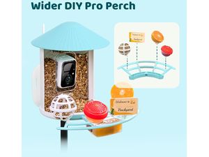 Birdfy Pro sügér