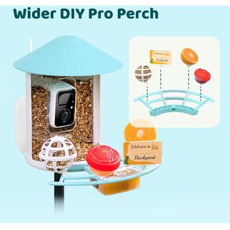 Birdfy Pro sügér
