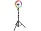 Lumină circulară Proove RGB Halo 12