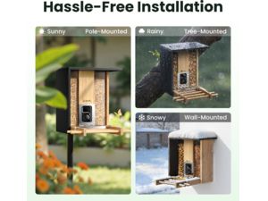 Birdfy Feeder Bamboo
AI po naročnini s sončno energijo