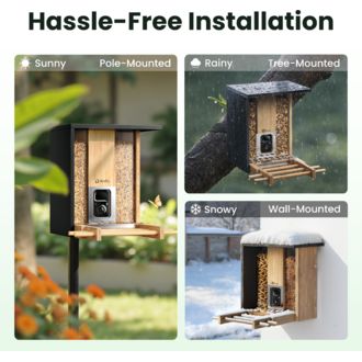 Birdfy Feeder Bamboo AI by Subscription w/ Solar