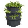 Gusta Garden PAUL POTATO, ghiveci cu 3 straturi, antracit, cu udare automată