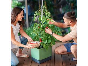 Gusta Garden TOM TOMATO Standard samozavlažovací truhlík, modrý