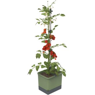 Gusta Garden TOM TOMATO Ghiveci standard cu autoapărare, verde închis