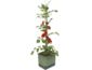 Gusta Garden TOM TOMATO Standard samozavlažovací truhlík, tmavě zelený