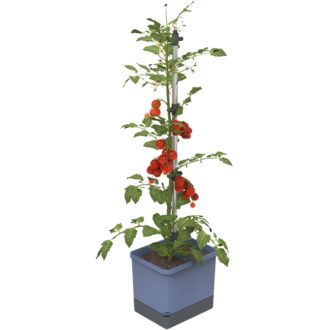 Gusta Garden TOM TOMATO Standard öntözőedény, kék színű