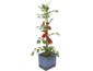Gusta Garden TOM TOMATO Standard samozavlažovací truhlík, modrý