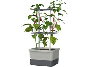Gusta Garden CHARLY CHILY Ghiveci standard cu autoapărare, gri deschis