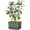 Gusta Garden CHARLY CHILY Ghiveci standard cu autoapărare, verde închis