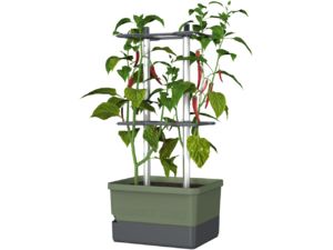 Gusta Garden CHARLY CHILY Ghiveci standard cu autoapărare, verde închis