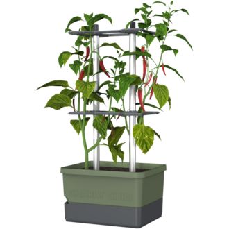 Gusta Garden CHARLY CHILY Ghiveci standard cu autoapărare, verde închis