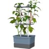 Gusta Garden CHARLY CHILY Ghiveci standard cu autoapărare, albastru