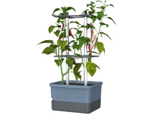 Gusta Garden CHARLY CHILY Standard öntözőedény, kék színű