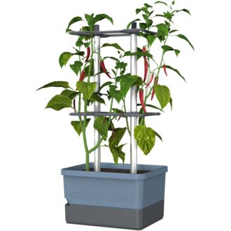 Gusta Garden CHARLY CHILY Ghiveci standard cu autoapărare, albastru