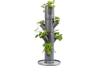 Gusta Garden SISSI STRAWBERRY öntöző ültetvény 4 szintes, antracit színű