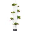 Gusta Garden SISSI STRAWBERRY függő öntöző ültetvény 4 szintes, fehér