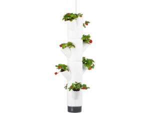 Gusta Garden SISSI STRAWBERRY függő öntöző ültetvény 4 szintes, fehér
