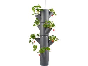 Gusta Garden SISSI STRAWBERRY függő öntöző növénytartó 4 szintes, antracit színű