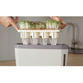 Gusta Garden HARRY HERBS Fitiluri de udare 300mm x 30mm, 12 bucăți