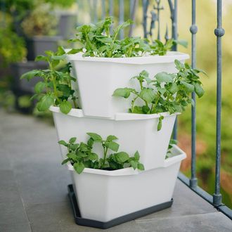 Gusta Garden PAUL POTATO tavă PAUL POTATO