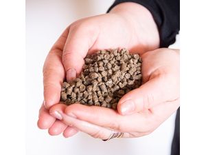 Gusta Garden Îngrășământ organic din lână de oaie  400g