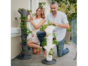 Gusta Garden SISSI STRAWBERRY plantator clasic cu auto-apărare 6 niveluri, antracit, ambalaj deteriorat