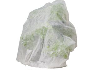 Gusta Garden PAUL POTATO Frostschutzhaube