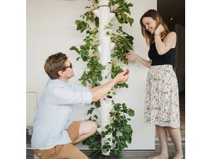 Gusta Garden SISSI STRAWBERRY suport de perete SISSI STRAWBERRY