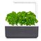 Click and Grow Smart Garden 3 chytrý květináč + 3ks kapslí se semínky bazalky, šedý