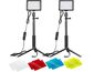 Neewer fotófénykészlet, 66/66 LED, 2x 10W