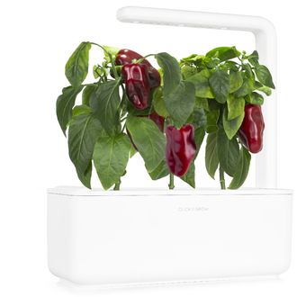 Click and Grow Pirospaprika, édes, kapszula magokkal és aljzattal 3db