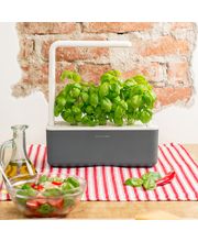Click and Grow Smart Garden 3 смарт саксия + 3бр. капсули със семена от босилек, сиво